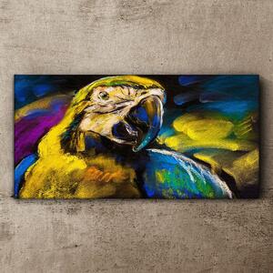 Obraz na plátně Obraz na plátně Abstraktní zvířecí parrot