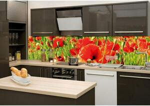 Skleněná stěna za kuchyňskou linku - Fotosklo Červené vlčí máky
