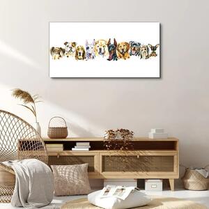 Obraz na plátně Obraz na plátně Moderní zvířata psi