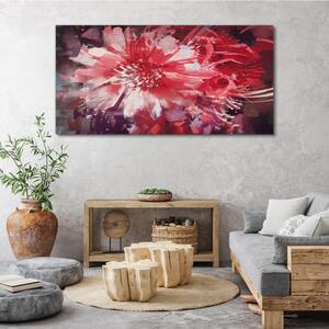 Obraz na plátně Obraz na plátně Abstrakce rostlinných květin