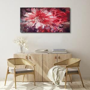 Obraz na plátně Obraz na plátně Abstrakce rostlinných květin