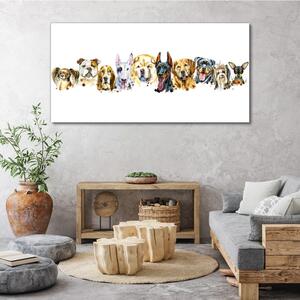 Obraz na plátně Obraz na plátně Moderní zvířata psi