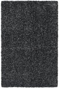 Vopi | Kusový koberec Pleasure 01GMG - 200 x 290 cm, černý