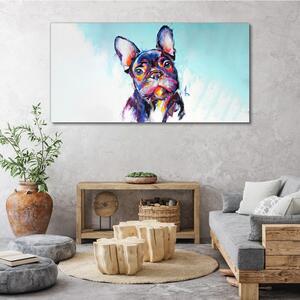 Obraz na plátně Obraz na plátně Zvířecí pes abstrakce