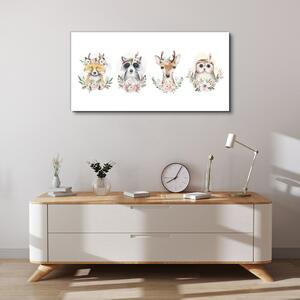 Obraz na plátně Obraz na plátně Zvířata Deer Owl Maccoon