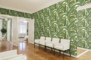 A.S. Création | Vliesová tapeta na zeď Versace 96240-5 | 0,70 x 10,05 m | bílá, zelená