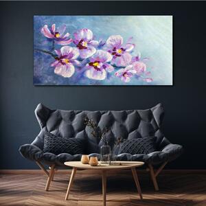 Obraz na plátně Obraz na plátně Květiny rostlin
