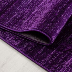 Vopi | Kusový koberec Plus 8000 lila - 160 x 230 cm
