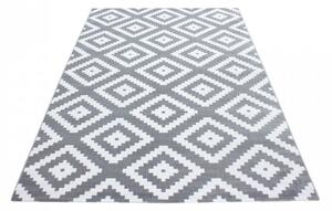Vopi | Kusový koberec Plus 8005 grey - 140 x 200 cm