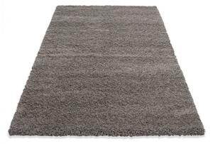 Vopi | Kusový koberec Dream Shaggy 4000 beige - Kulatý 80 cm průměr