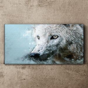 Obraz na plátně Obraz na plátně Divoký zvířecí vlk