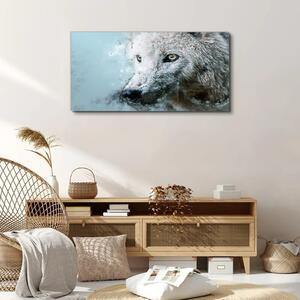 Obraz na plátně Obraz na plátně Divoký zvířecí vlk