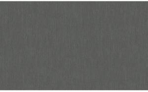 A.S. Création | Vliesová tapeta na zeď AP Longlife Colours 30563-3 | 1,06 x 21 m | šedá