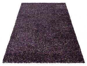 Vopi | Kusový koberec Enjoy shaggy 4500 lila - 120 x 170 cm