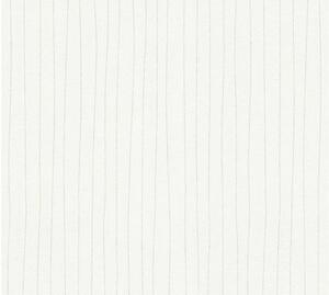Vliesová tapeta na zeď Meistervlies 6 32004-1 | 0,53 x 10,05 m | bílá | A.S. Création