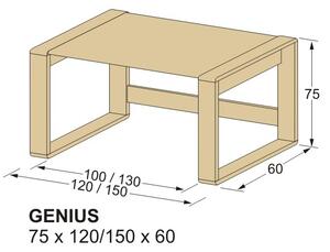 Dřevěný psací stůl z masivu GENIUS, stůl pro školáky (psací stůl pro školáky i studenty)