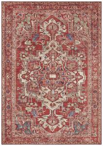 Hans Home | Kusový koberec Asmar 104018 Orient/Red - 160x230