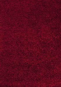 Hans Home | Kusový koberec Dream Shaggy 4000 Red - 60x110