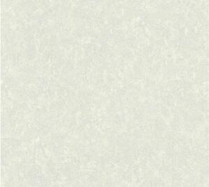 A.S. Création | Vliesová tapeta na zeď Versace 93582-8 | 0,70 x 10,05 m | šedá