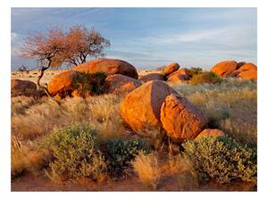 Fototapeta - Africké krajiny, Namibie 250x193 + zdarma lepidlo