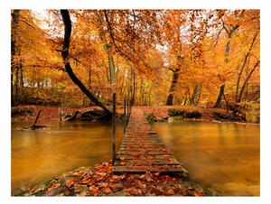 Fototapeta - Podzimní most 250x193 + zdarma lepidlo