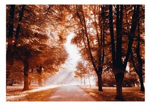 Samolepící fototapeta - Podzimní park 98x70