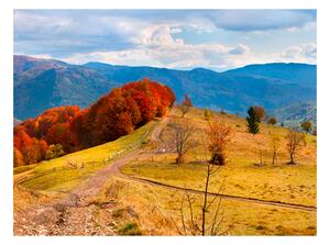 Fototapeta - Podzimní krajina v Karpatech 250x193 + zdarma lepidlo