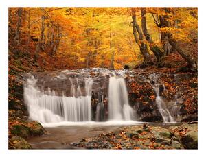 Fototapeta - Podzimní krajina: vodopád v lese 200x154 + zdarma lepidlo