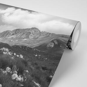 Fototapeta černobílé údolí v Černé Hoře