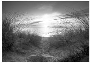 Samolepící fototapeta - Pláž (černá a bílá) 245x175