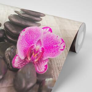 Fototapeta orchidej a Zen kameny na dřevě