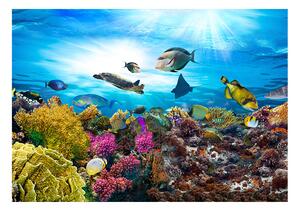 Samolepící fototapeta - Korálový útes 98x70