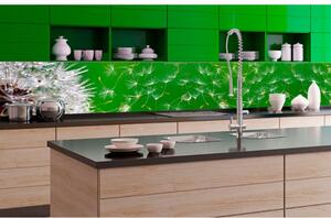 DIMEX | Fototapeta do kuchyně Pampeliška KI-350-012 | 350 x 60 cm | zelená, bílá, hnědá