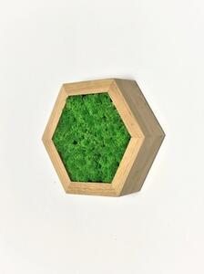 NORTH mechový 6-úhelník z masivního dubu zelená 20 cm
