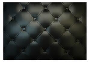 Fototapeta - Černý polstr 250x175 + zdarma lepidlo