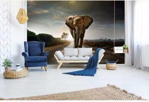 DIMEX | Vliesové fototapety na zeď Kráčející slon MS-5-0225 | 375 x 250 cm| šedá, béžová, zelená, modrá