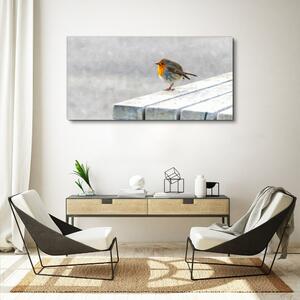 Obraz na plátně Obraz na plátně Abstraktní zvířecí pták sníh