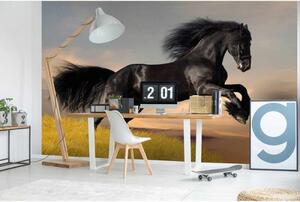 DIMEX | Vliesové fototapety na zeď Černý kůň MS-5-0228 | 375 x 250 cm| černá, zelená, modrá