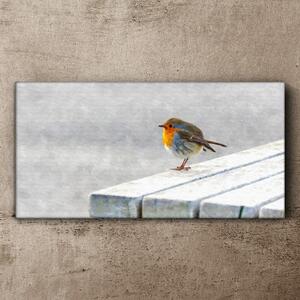 Obraz na plátně Obraz na plátně Abstraktní zvířecí pták sníh