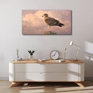 Obraz na plátně Obraz na plátně Zvířecí pták Seagull Sky