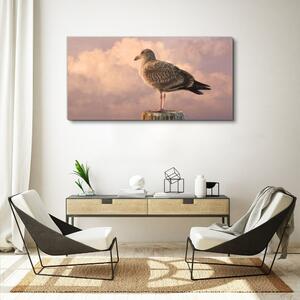 Obraz na plátně Obraz na plátně Zvířecí pták Seagull Sky