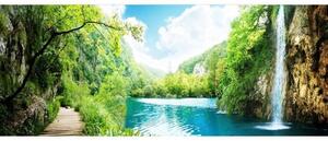 Panoramatická fototapeta - Relax v lese + zdarma lepidlo
