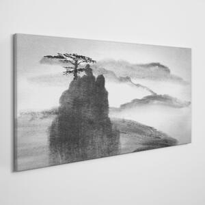 Obraz na plátně Obraz na plátně Horský strom mlhou