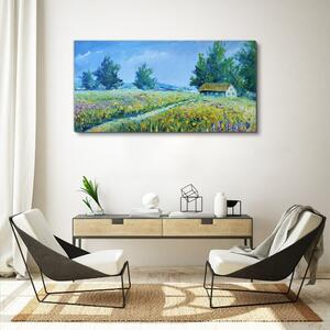 Obraz na plátně Obraz na plátně Krajina krajina květiny Chata