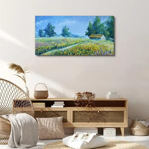 Obraz na plátně Obraz na plátně Krajina krajina květiny Chata