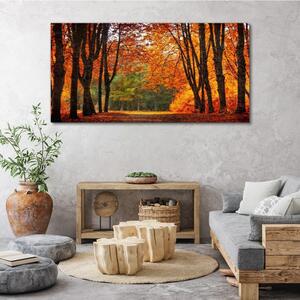 Obraz na plátně Obraz na plátně Podzimní lesní volně žijících živočichů