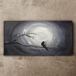 Obraz na plátně Obraz na plátně Abstrakce Noční zvířecí pták