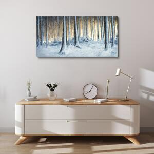 Obraz na plátně Obraz na plátně Abstrakce zimní sen příroda