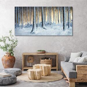 Obraz na plátně Obraz na plátně Abstrakce zimní sen příroda