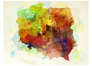 Fototapeta - Mapa (Polsko) 250x193 + zdarma lepidlo